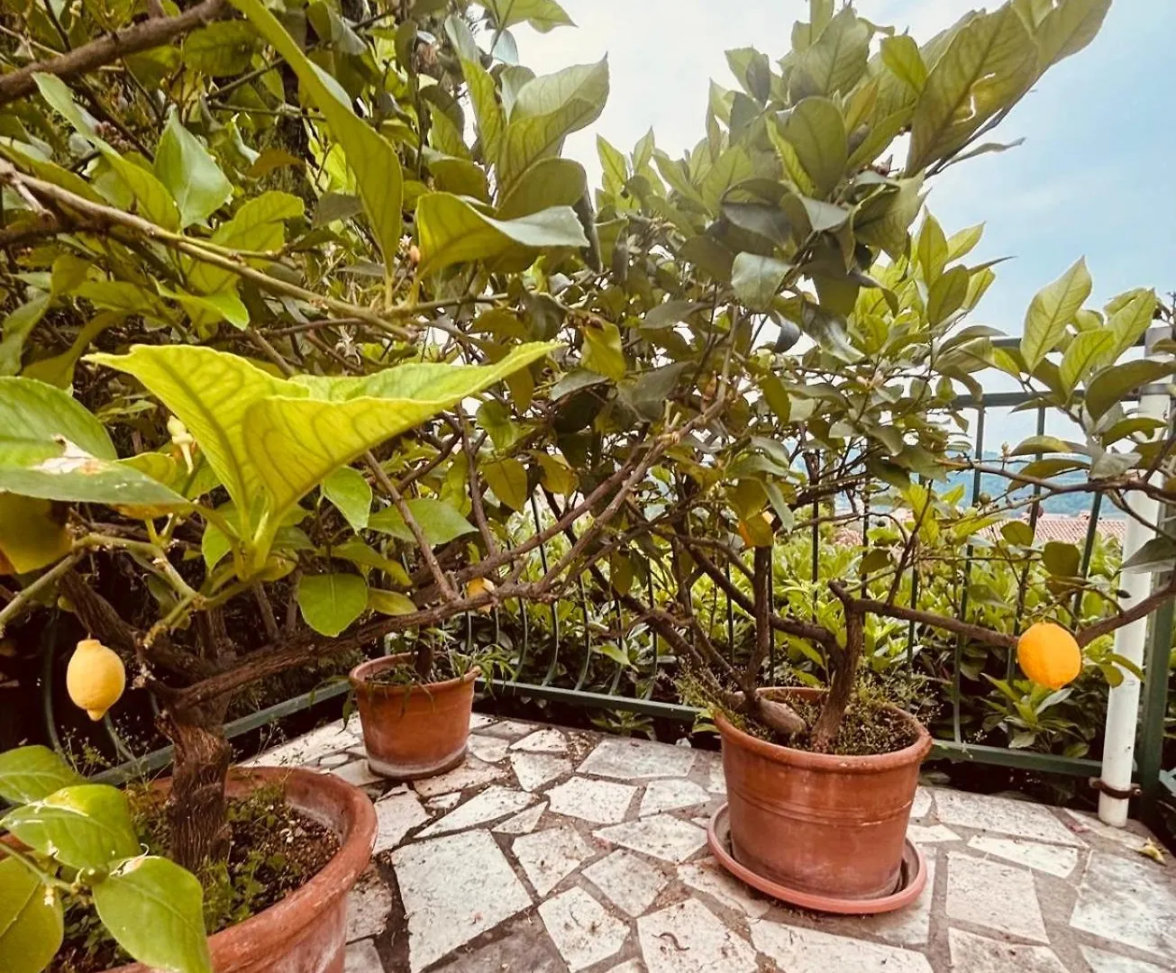 Villa Delle Agavi Costermano